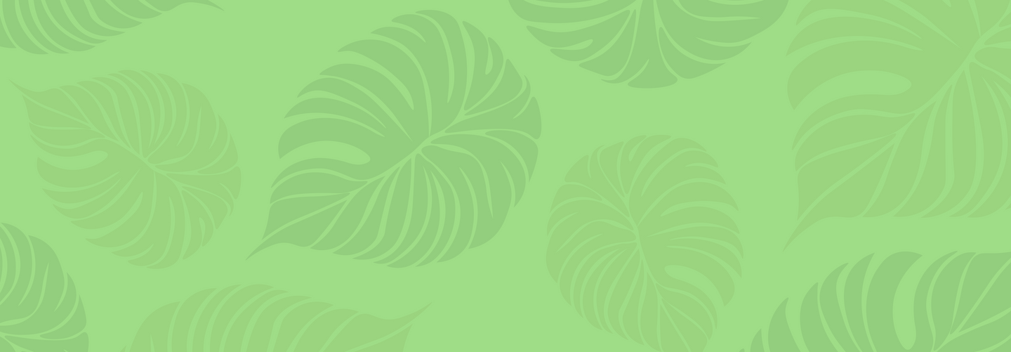 Bamboo Toilet Rolls 
