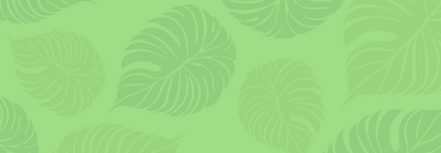 How Wipe With Pride Approaches Bamboo Toilet Paper
