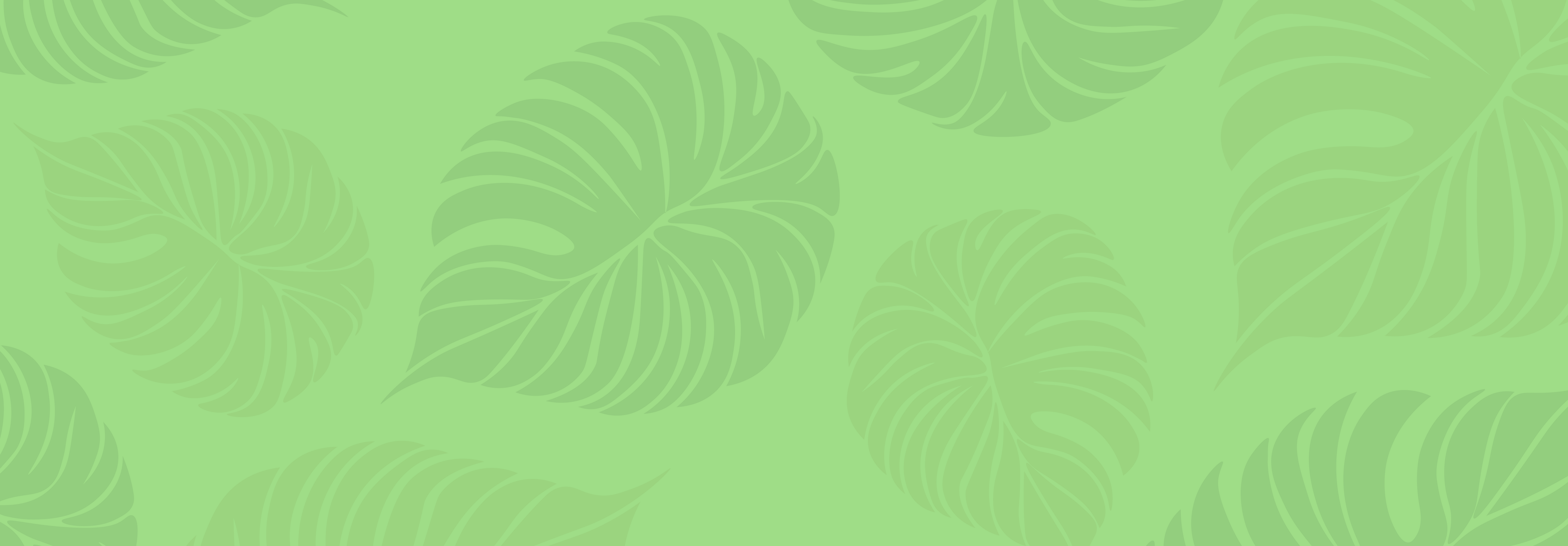 Bamboo Toilet Rolls 