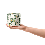 100% Bamboo Toilet Paper - Eco