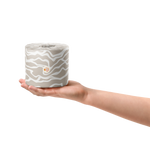 Wipe with Pride - Sustainable Toilet Roll 